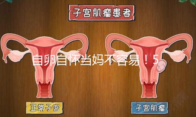 自卵自懷當媽不容易！53歲做試管嬰兒這個案例真勵志