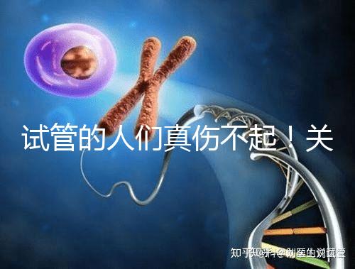 試管的人們真?zhèn)黄穑￡P(guān)于養(yǎng)囊的成功率這些你得知道