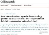 試管移植后可以喝枸杞紅棗湯嗎?能不能提高移植成功率?