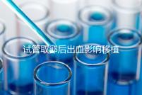 試管取卵后出血影響移植嗎？生殖醫生是這么解釋的