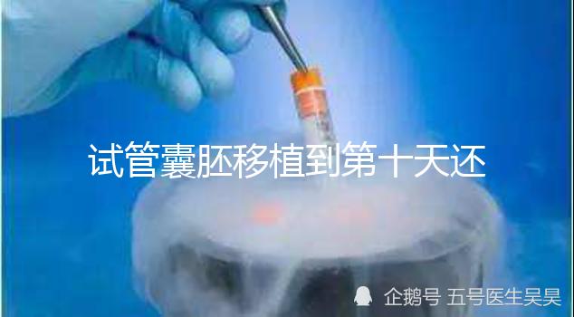 試管囊胚移植到第十天還是白板別擔心，放松心態等逆襲吧！