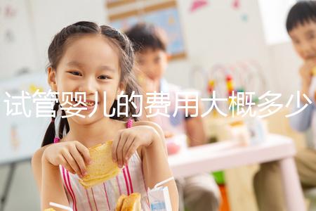 試管嬰兒的費用大概多少錢？