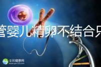 試管嬰兒精卵不結合只是基因問題？這幾大原因告知真相