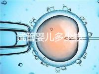 試管嬰兒多少錢(qián)