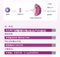 試管嬰兒胎停流產(chǎn)的原因剖析，胎停育與胎停孕大不同