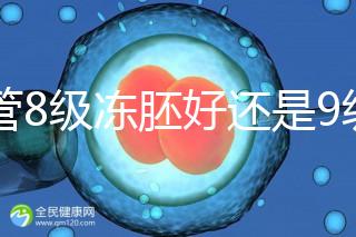 試管8級凍胚好還是9級好進(jìn)來瞧，看完二者區(qū)別全明白