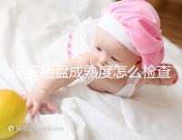 詳解胎盤成熟度怎么檢查、正常值是多少，附超聲報告解讀