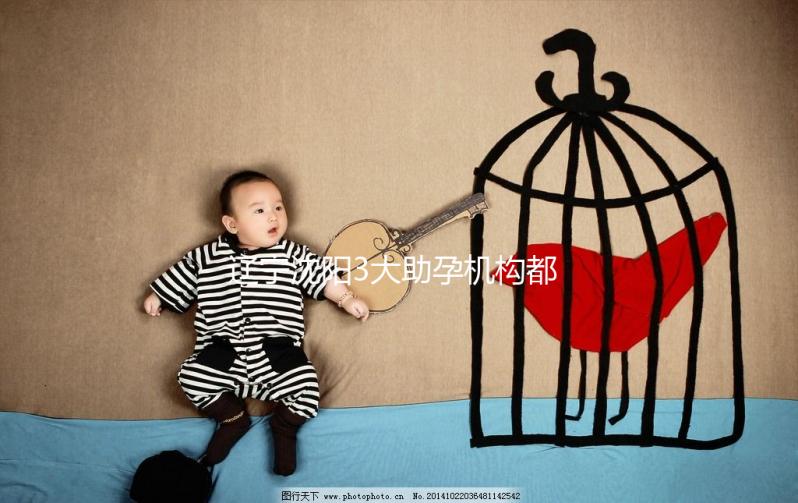 遼寧沈陽3大助孕機構(gòu)都在這,來看看你知道幾家