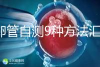 輸卵管自測9種方法匯總,試紙+晨尿怎么用最準有竅門