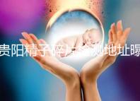 貴陽精子碎片檢測地址曝光，云巖區醫院能看完嗎？