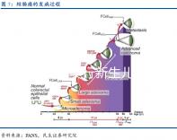 貴陽各區實行新生兒零門檻落戶，辦理不超過15個工作日