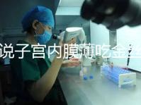 誰說子宮內膜薄吃金絲燕窩沒有用，長內膜、增加卵泡還有…