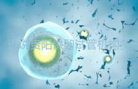 誰說貴陽供卵試管機(jī)構(gòu)多給錢就不用排隊(duì)，醫(yī)生：不亂收費(fèi)