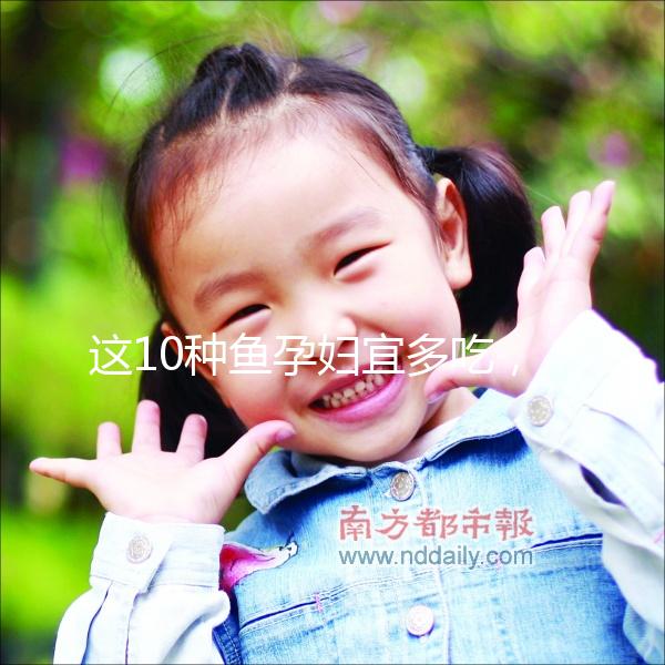 這10種魚孕婦宜多吃，既營養又可以讓寶寶更聰明