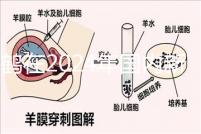 飛鶴在2024年國內新生兒奶粉排行榜上排名第一