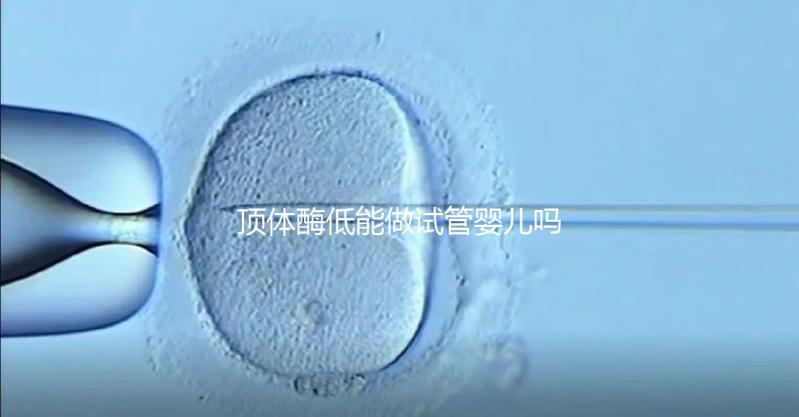 頂體酶低能做試管嬰兒?jiǎn)幔磕阆胫赖拇鸢溉谶@