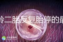 高齡二胎反復胎停的最大原因很簡單，染色體異常占50%