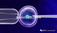 香港供卵試管嬰兒醫院有哪些點？附2024私立機構排名