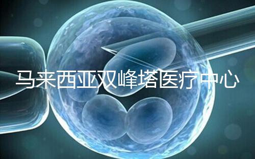 馬來(lái)西亞雙峰塔醫(yī)療中心(TTMC):位于吉隆坡的一站式綜合醫(yī)院