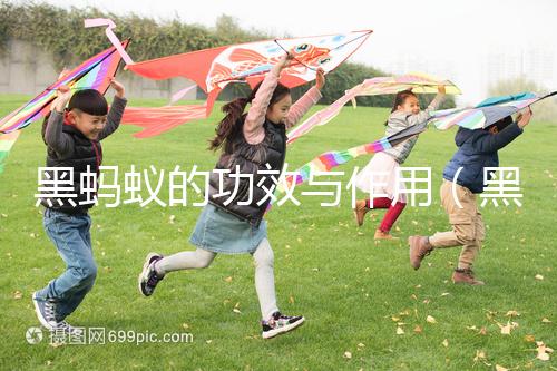 黑螞蟻的功效與作用（黑螞蟻的功效與作用及副作用）