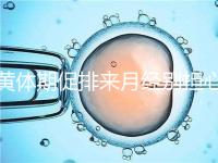 黃體期促排來月經別擔心！過來人經驗告訴你怎么辦