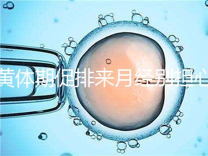 黃體期促排來(lái)月經(jīng)別擔(dān)心！過(guò)來(lái)人經(jīng)驗(yàn)告訴你怎么辦