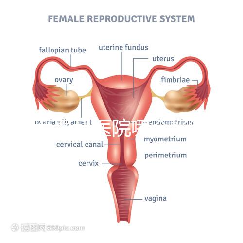 雞西男科醫院哪個好答案在這里？公立和私立各有優勢