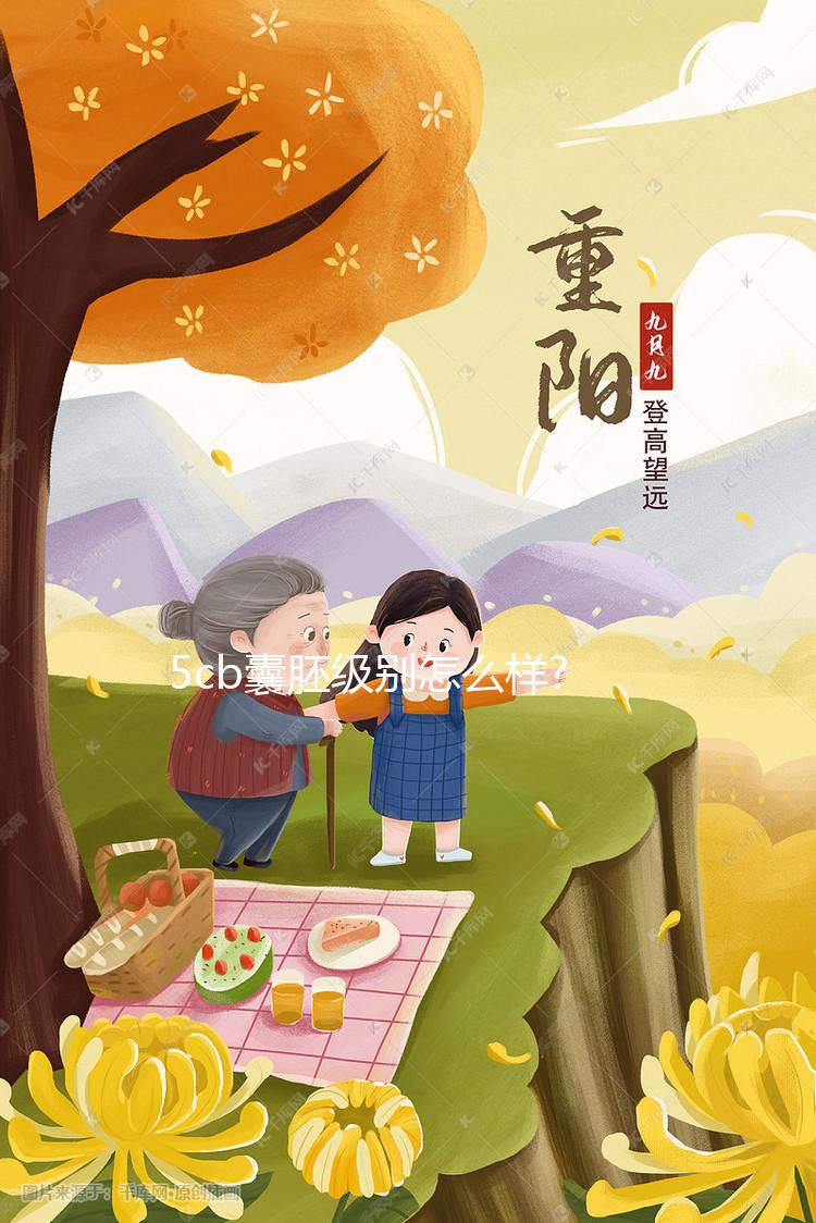 5cb囊胚級別怎么樣?質(zhì)量稍差,但