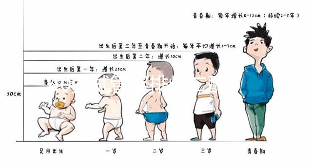 40歲試管促排雌二醇385是否1-2個卵的答案揭曉，想造戳