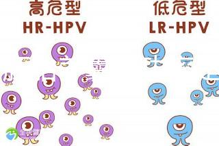 6個胚胎養(yǎng)囊成功率是多大答案在這，能配成3個機(jī)會就大