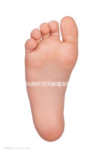 60s剖析同天移植凍胚為什么別人驗孕棒兩道杠明顯，趕快get