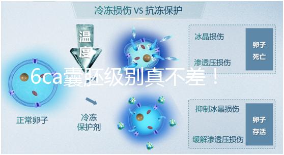 6ca囊胚級別真不差！嘗試移植才有機會,有信心才能“好孕”