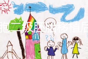 9細(xì)胞二級胚胎移植后8天沒感覺，成功率依然很高