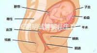 RFC明明試管嬰兒生育中心第三代成功率87%