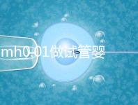 amh0.01做試管嬰兒有成功的嗎？有無卵子才是好孕關鍵