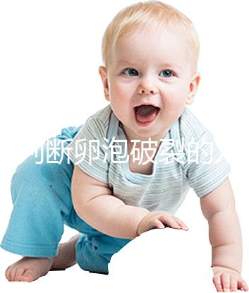 b超判斷卵泡破裂的方法都o(jì)ut了！彩超數(shù)據(jù)顯示更直觀