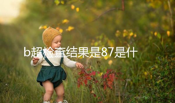 b超檢查結果是87是什么意思，不同醫院結果并不相同