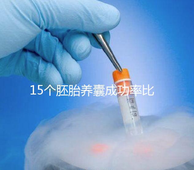 15個胚胎養囊成功率比想象高，只成了1個不正常要警惕
