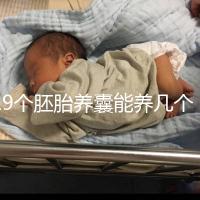 19個(gè)胚胎養(yǎng)囊能養(yǎng)幾個(gè)真難說(shuō)，質(zhì)量好都成功了也屬正常