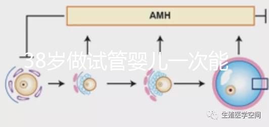 38歲做試管嬰兒一次能成功嗎？提前準備好這4點或許可以