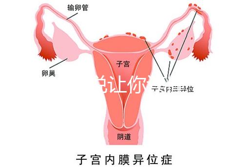 1分鐘解說(shuō)讓你讀懂，排卵試紙白板一根線等各個(gè)反應(yīng)