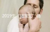 2019生“豬寶寶”備孕時(shí)間表一覽，留給你的時(shí)間真的不多了