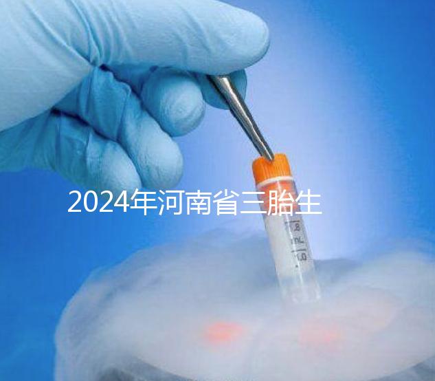 2024年河南省三胎生育津貼發(fā)生變化！南陽和信陽最高獎(jiǎng)勵(lì)20萬！