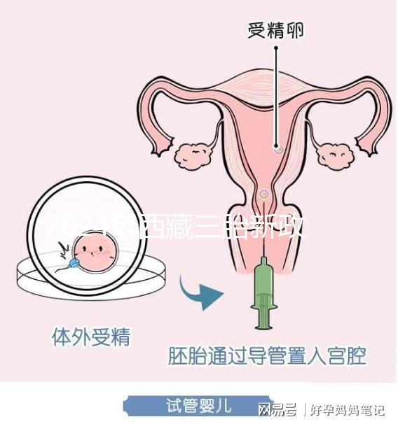 2024年西藏三胎新政策出臺，拉薩、日喀則產(chǎn)假戳多久？