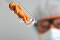 2024年陜西省規(guī)定發(fā)放獨(dú)生子女費(fèi)，包括咸陽市補(bǔ)貼標(biāo)準(zhǔn)和領(lǐng)取流程