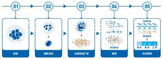 2024鄭州小學生要早知道入學條件,別忘了中原區的這些證件