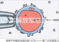2025年解放軍總醫(yī)院第七醫(yī)學中心做試管嬰兒的費用明細，現(xiàn)在做試管多少錢？