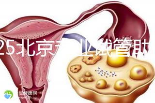 2025北京專業(yè)試管助孕機構(gòu)可靠推薦來咯，這3家超棒，快碼住！
