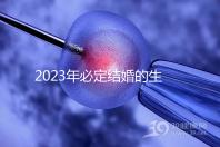 2023年必定結婚的生肖匯總，屬鼠、牛女均有望順利成婚