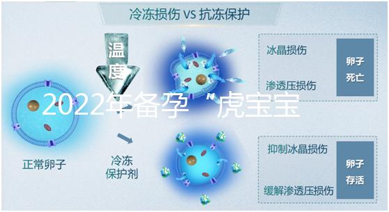 2022年備孕“虎寶寶”時(shí)間表，生孩子選這幾個(gè)月命最好